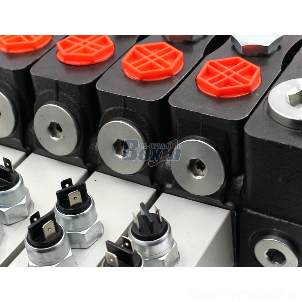 DLS180 Micro Switch Hydraulic Directional Valve: Factory Direct Supply detail image